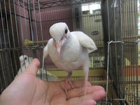 IMG_8668.JPG