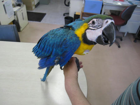 IMG_8727.JPG