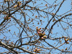P1070328_01.jpg