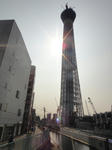 DSC00415.jpg