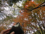 DSC03239_01.jpg