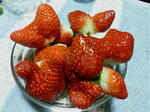 SH3K0172_01.jpg