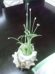 SH3K0639_03.jpg