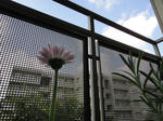 DSC03994.JPG