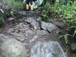 110805_0955.jpg