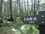 110806_1001.jpg