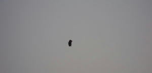 DSCN0758.JPG