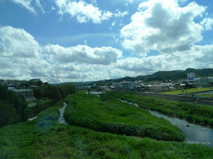 P1010440.jpg