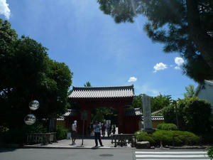 P1010449.jpg