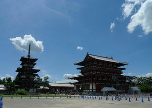 P1010460.jpg
