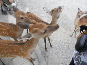 DSCN0237.jpg