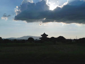 P1010552.jpg