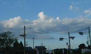 P1010555.jpg