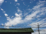 DSC00665.JPG