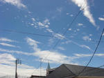 DSC00666.JPG