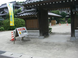 梨１