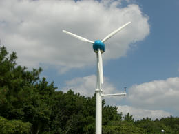 CIMG4903.JPG