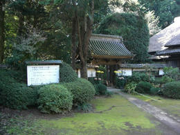 長塚3
