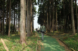 吉高５