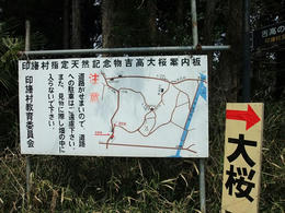 吉高12