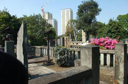 谷中８