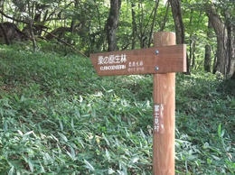 帰路