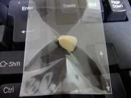 歯