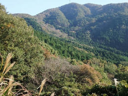 山肌