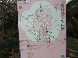筑波梅林
