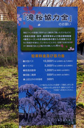 三春2