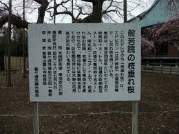般若院