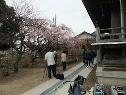 ＮＨＫ３