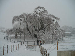 雪の前日２