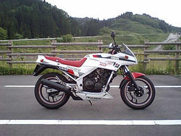 フェザー250