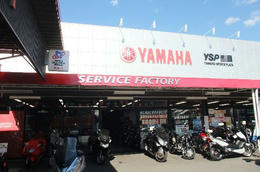 YSP