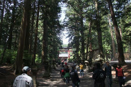 運7