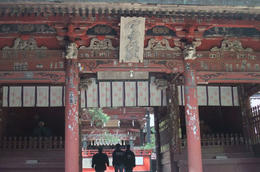 運8