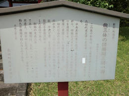 お寺２