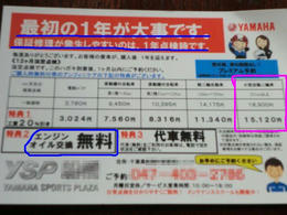 1年点検