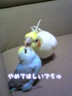 お母さんと子供？