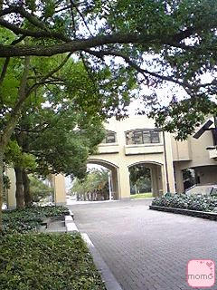 071110_1540~01.JPG