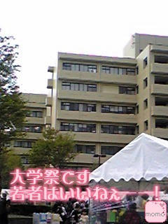 071110_1541~01.JPG