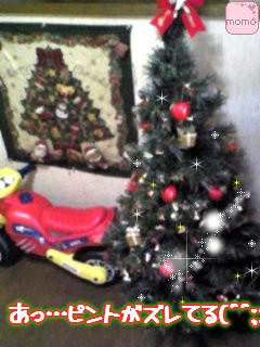 071120_1507~01.JPG