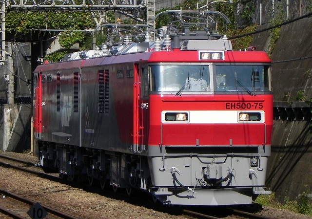 s-DSCN9901.jpg