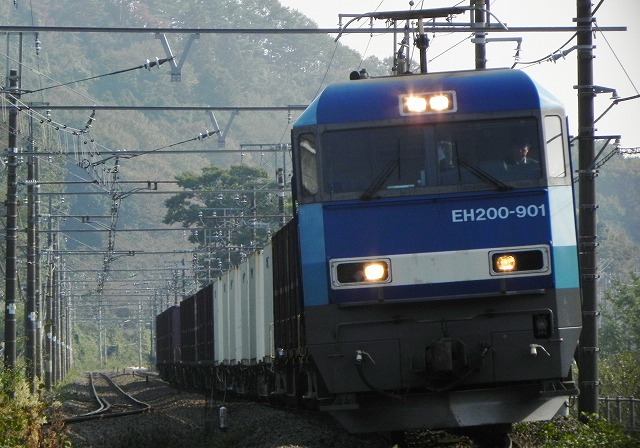 s-DSCN9816.jpg