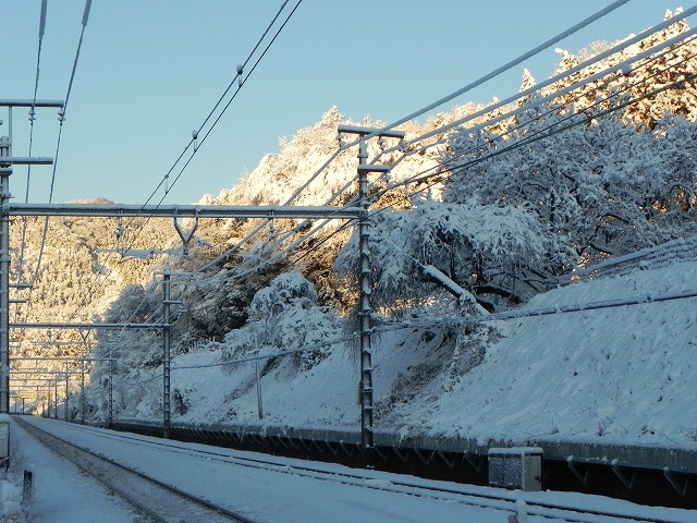 s-DSCN1139.jpg