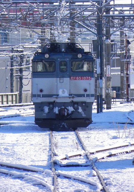 s-DSCN1155.jpg