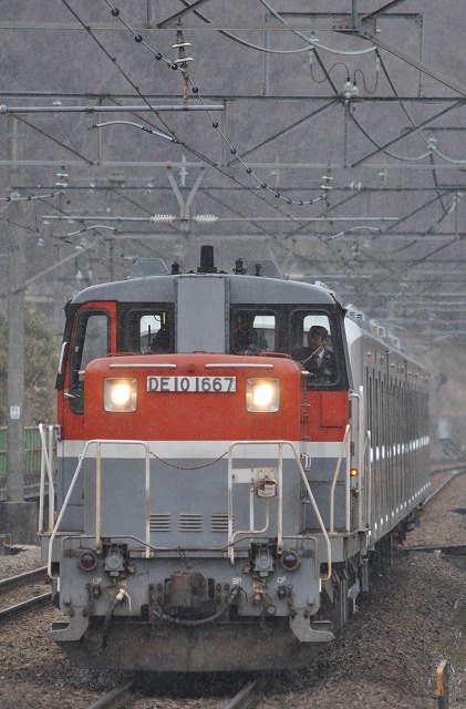 s-DSC_0092.jpg