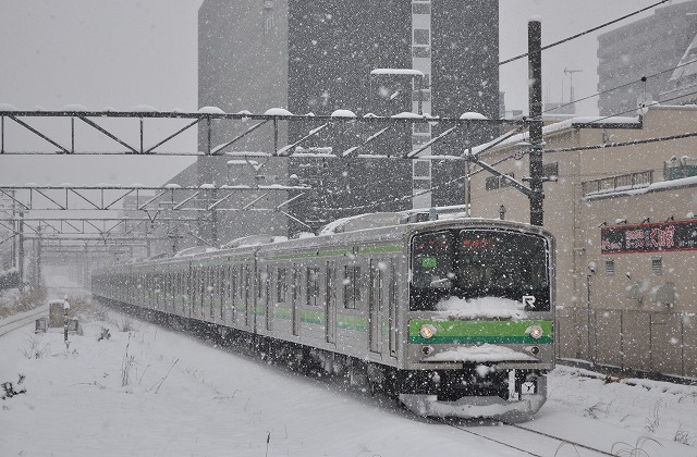 s-DSC_0133.jpg