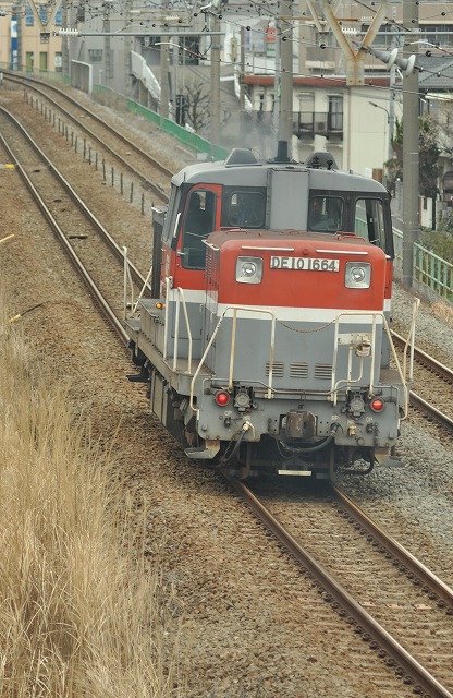 s-DSC_0277.jpg